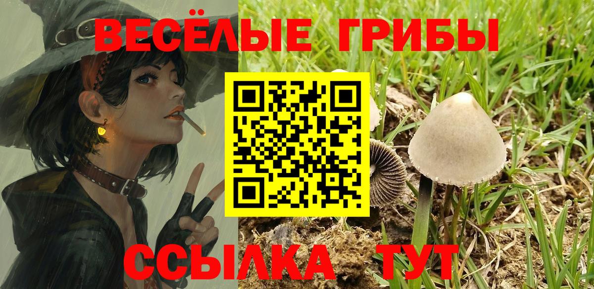 где продают наркотики  Вход с VPN  Красноярск  Галлюциногенные грибы ЛСД 